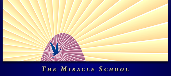 The Miracle School